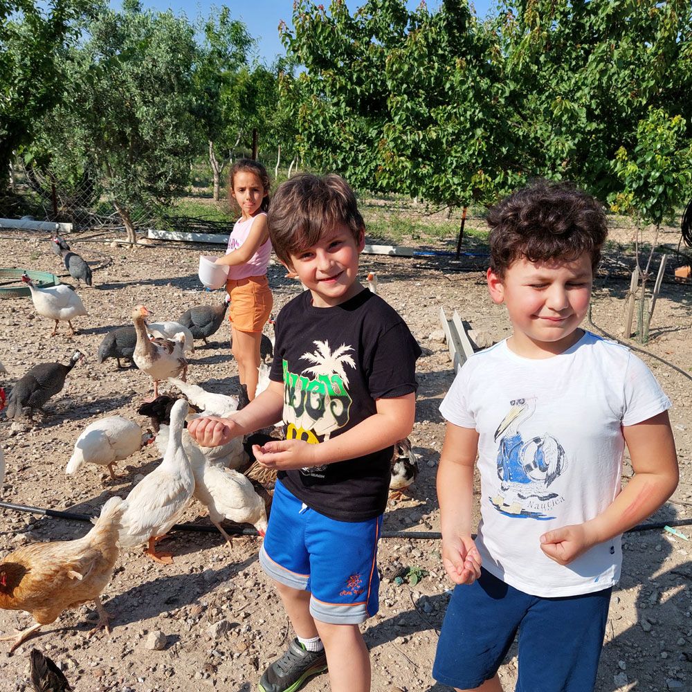 EGA�n�n Kurulu� Felsefesi