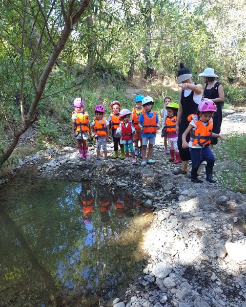 Do�a ve D�n���m